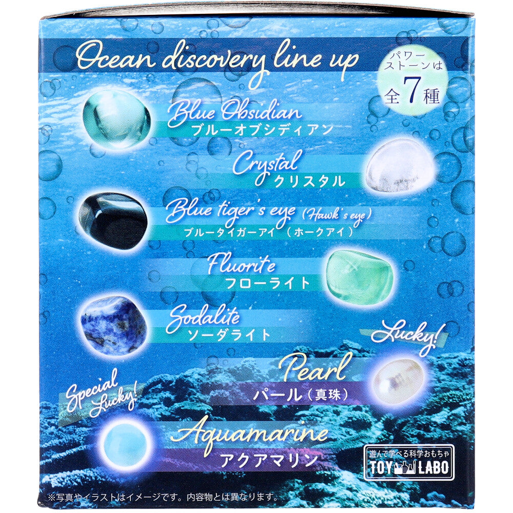遊んで学べる科学おもちゃ 宝物発見シリーズ オーシャンディスカバリー 1セット 1 個