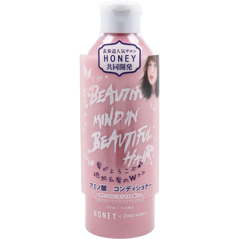 HONEY アミノ酸コンディショナー ボタニカルシトラスの香り 250mL 1 個