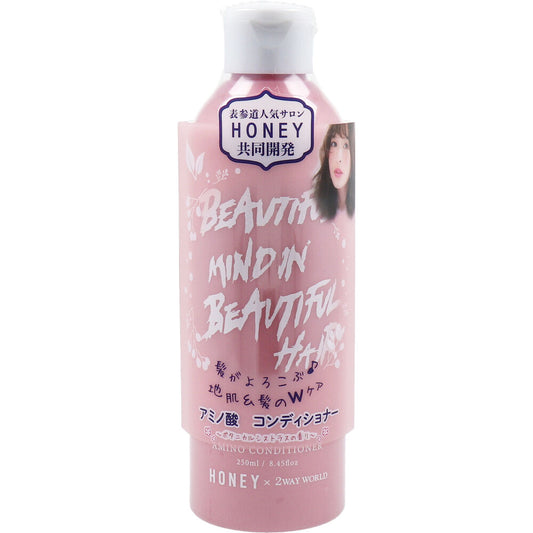 HONEY アミノ酸コンディショナー ボタニカルシトラスの香り 250mL 1 個