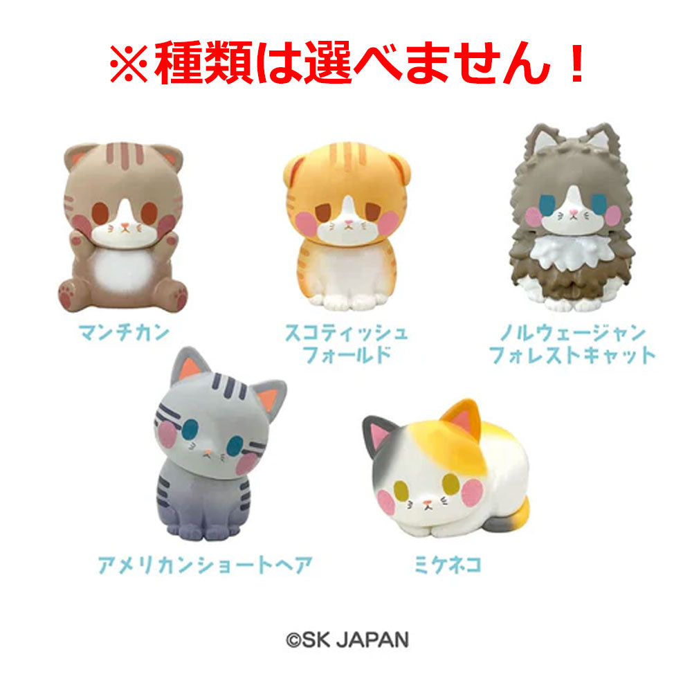 Dreamy Cat Bath Ball, Sunshine Fragrance, 75g, 1 serving, 1 piece