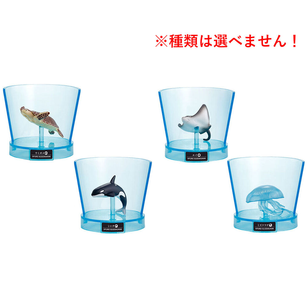 [販売終了]びっくら？たまごPLUS！ おふろ水族館 海のにんきもの やさしい海のかおり 1個入 1 個
