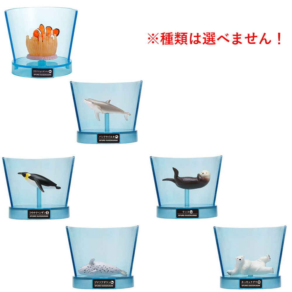 [販売終了]びっくら？たまごPLUS！ おふろ水族館 海のにんきもの やさしい海のかおり 1個入 1 個