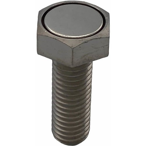 ラクテム　マグネット付六角ボルト　Ｍ８−１５　HBMM8-15　1 個
