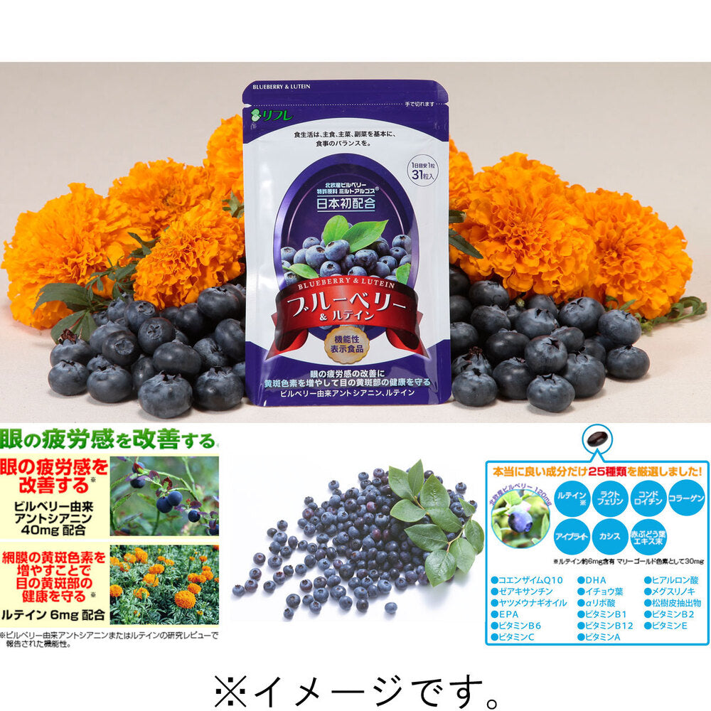 ※【아울렛】리후레 블루베리＆루테인 31알입 1개