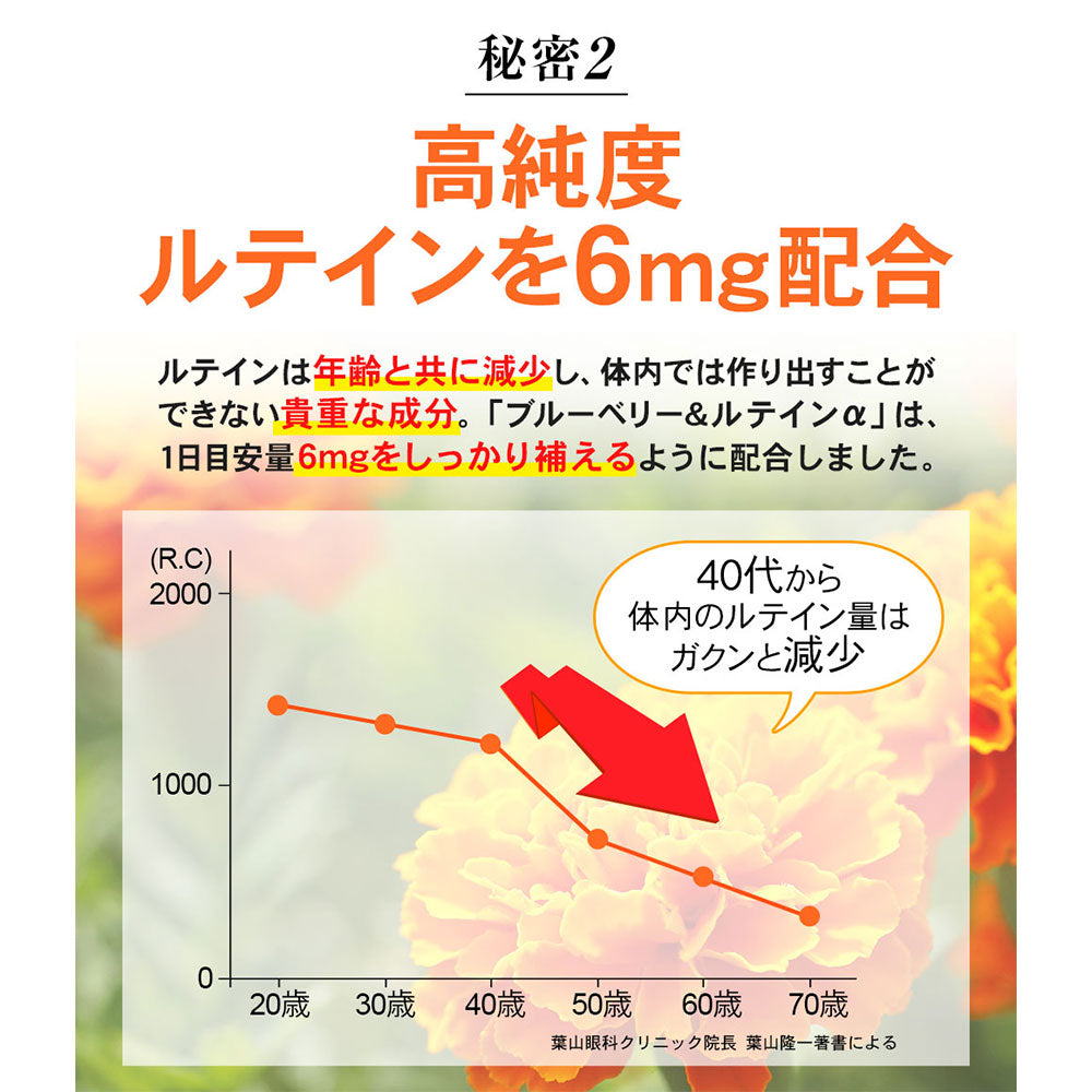 ※[販売終了]リフレ ブルーベリー＆ルテインα 31粒入 1 個