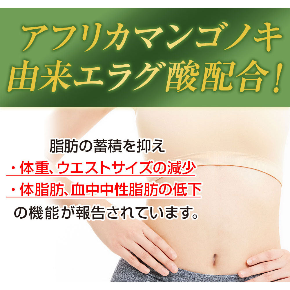 ※[販売終了]リフレ ダイエットのみかた 62粒入 1 個