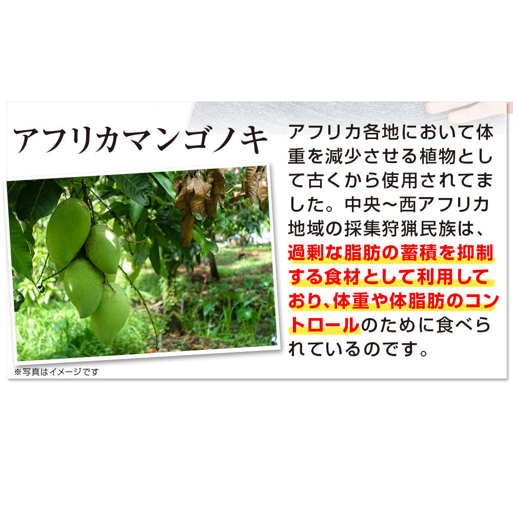 ※[販売終了]リフレ ダイエットのみかた 62粒入 1 個
