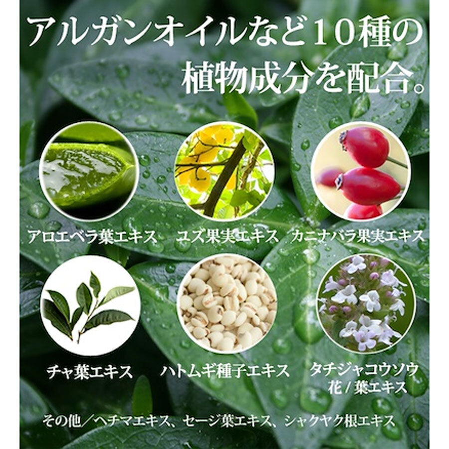 프로스테이지 보타니컬 올인원 로션 포멘 300mL 1개