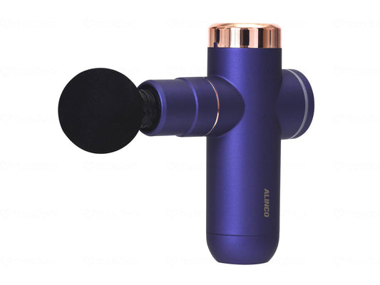 알인코 BODY SHAPE GUN