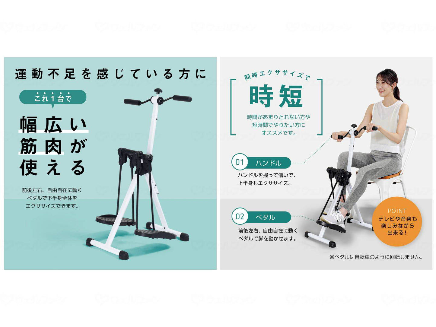 알인 코스윙 앨범 사이클