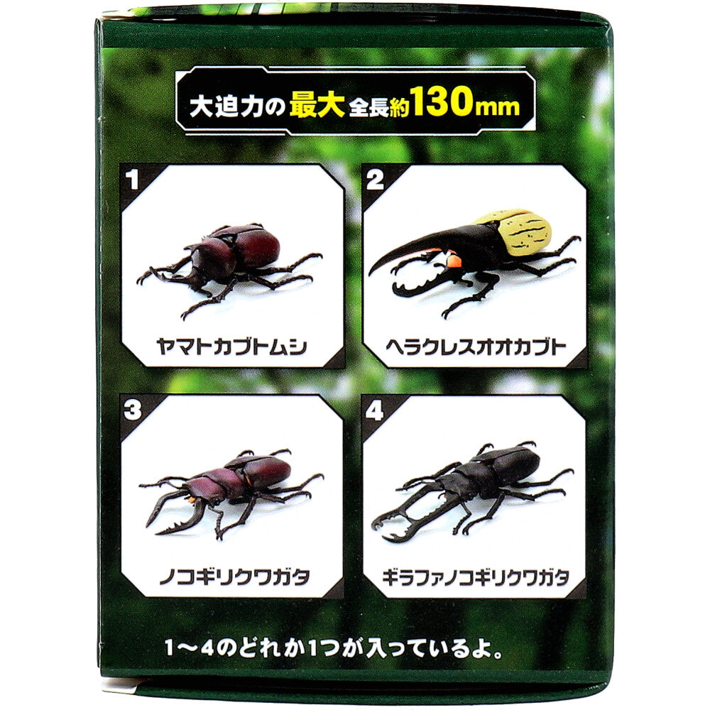 피규어 모델링 비틀 조립식 1개입 1개