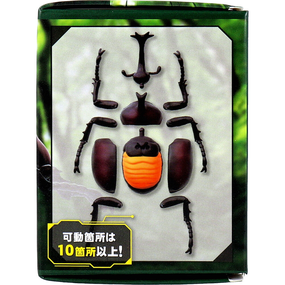 피규어 모델링 비틀 조립식 1개입 1개