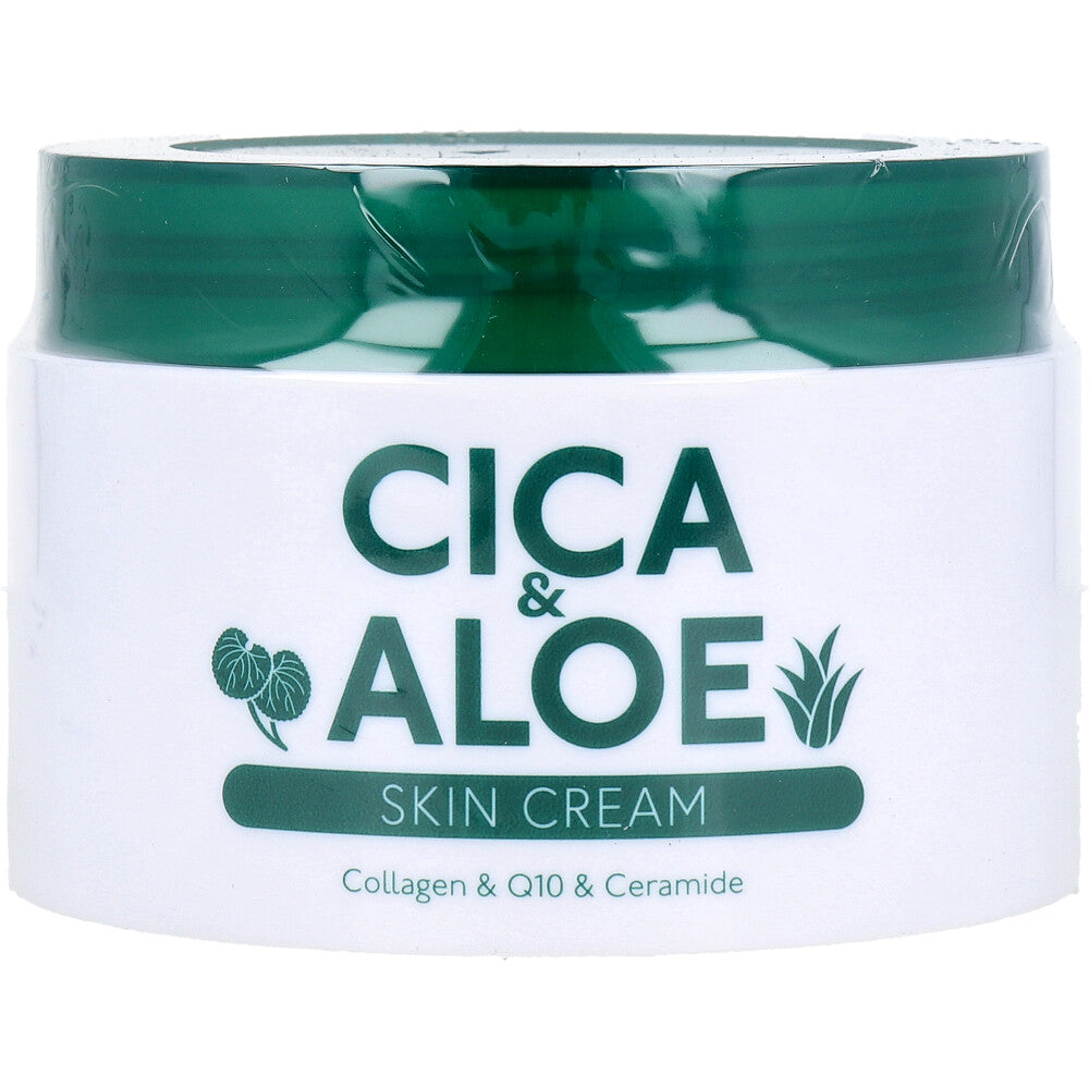 CICA &amp; ALOE 스킨 크림 200g 1개