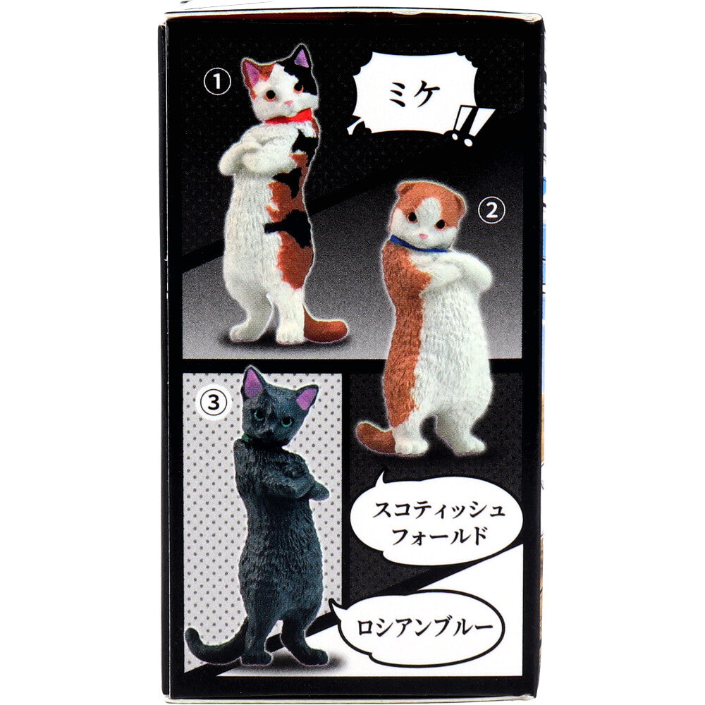 フィギュア ズン！！ BOX 1個入 1 個