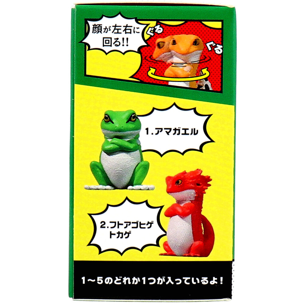 【아울렛】피규어 돈! 1개입 1개