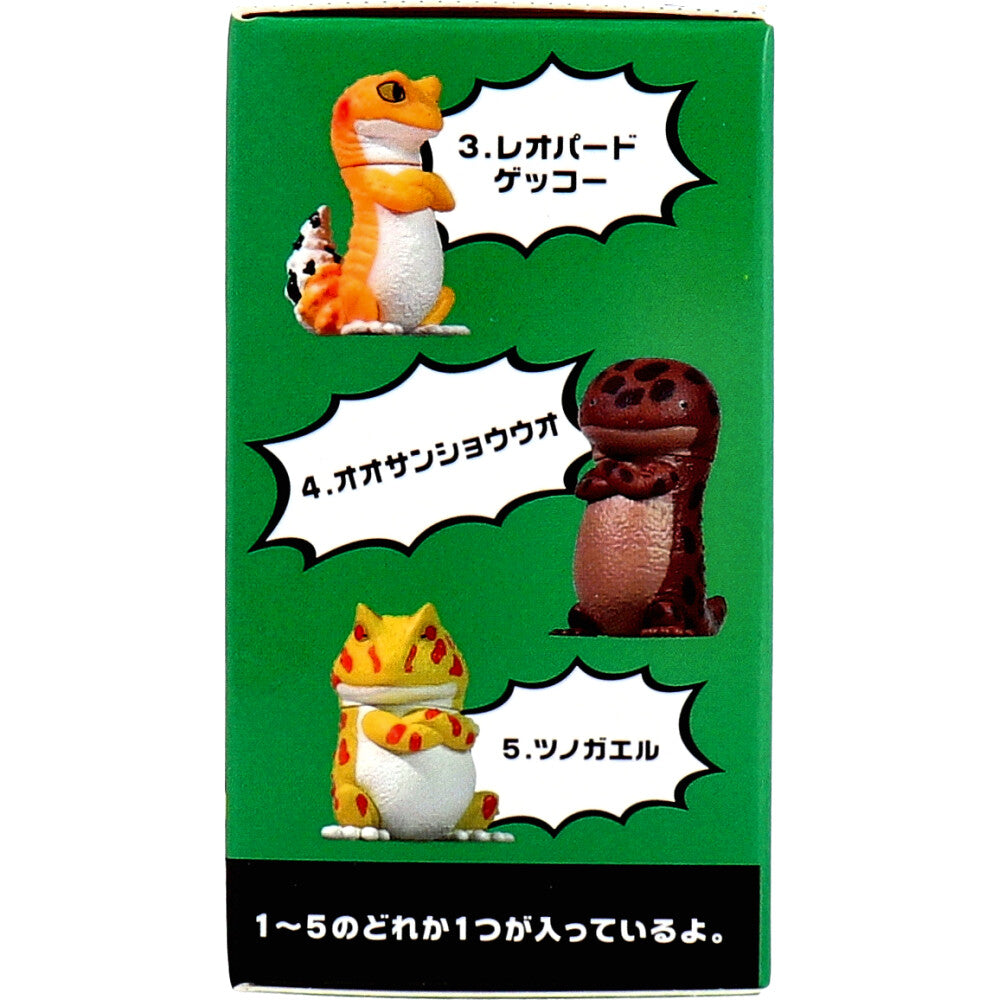 【아울렛】피규어 돈! 1개입 1개