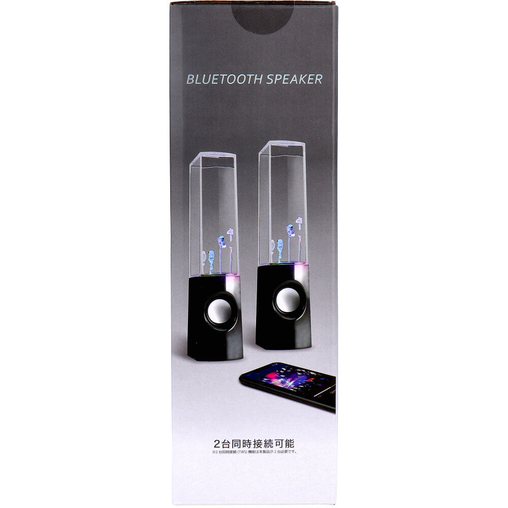 RiC Bluetooth Fountain Speaker Black BS0006 1 piece