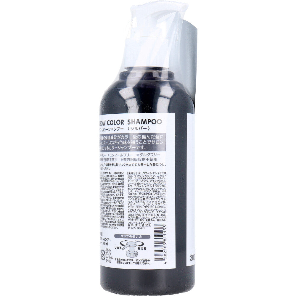 Triple Rainbow Color Shampoo Silver 300mL 1 piece