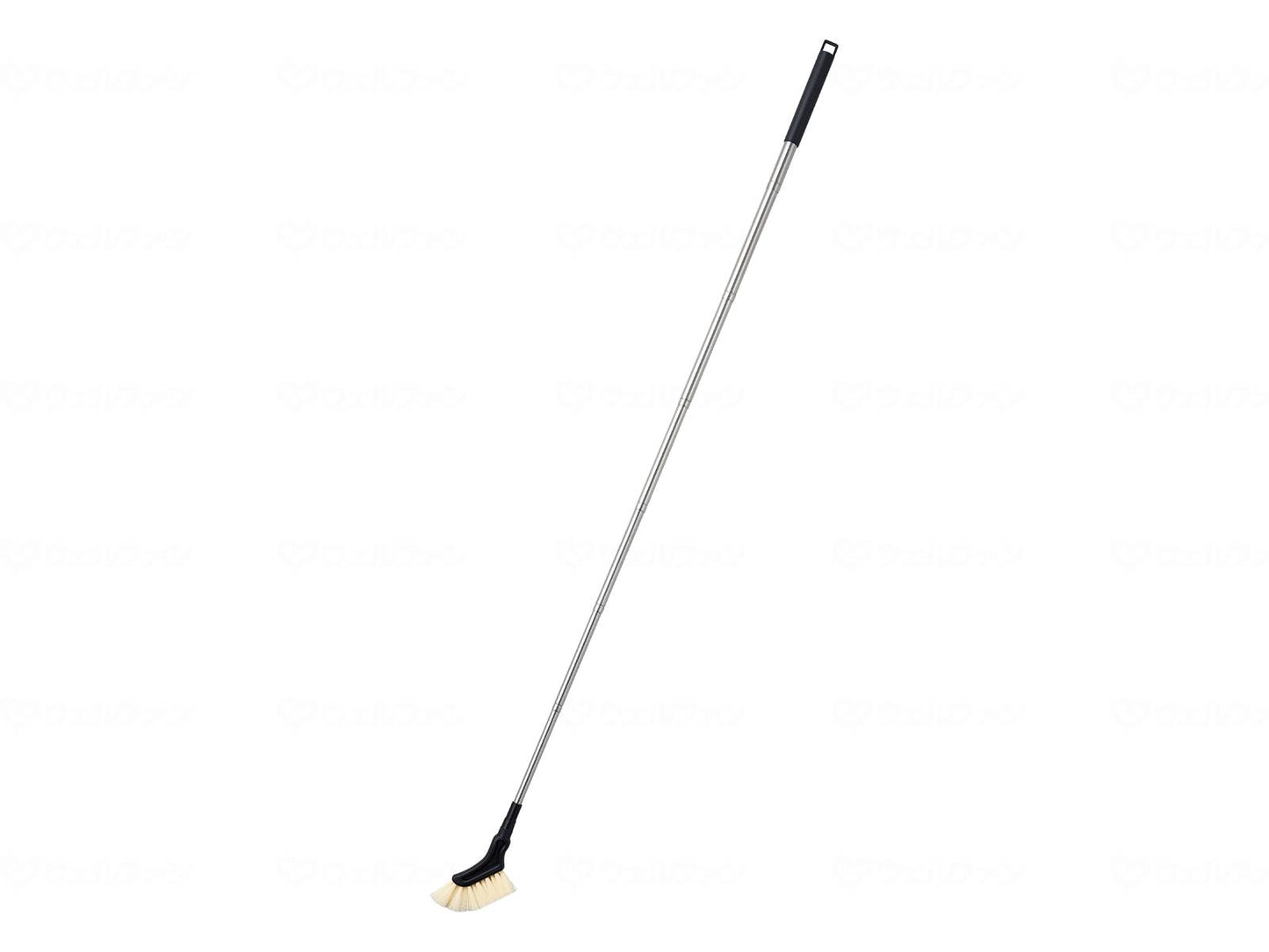 코짓트의 노비비 얼룩 몰래 틈새 장인