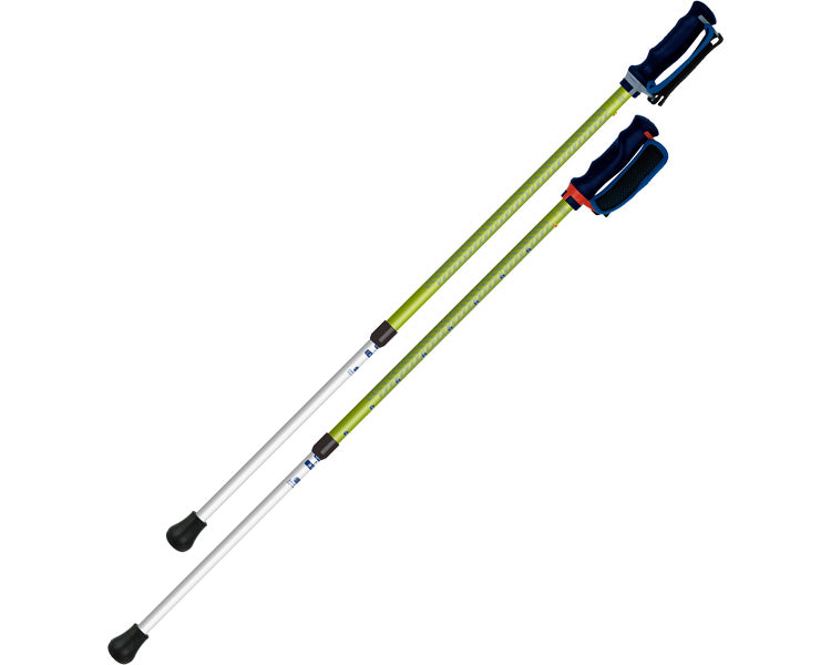 抗ウイルスあんしん2本杖　2本1組 / 650200　グリーン　1 組