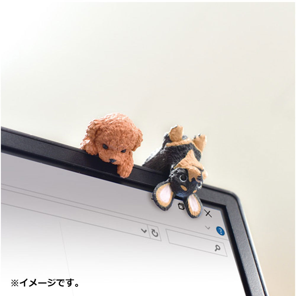 피규어 후치야스미 여러가지 완코 BOX 1개입 1개