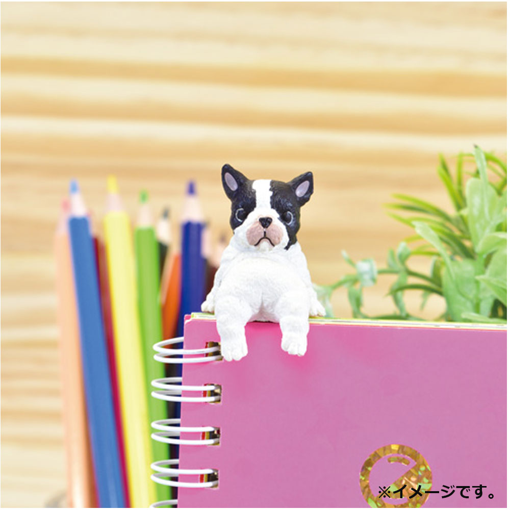 피규어 후치야스미 여러가지 완코 BOX 1개입 1개