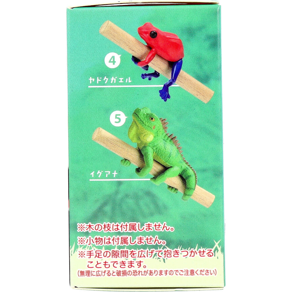 フィギュア どこでも抱きつき！レオパチャーム BOX 1個入 1 個