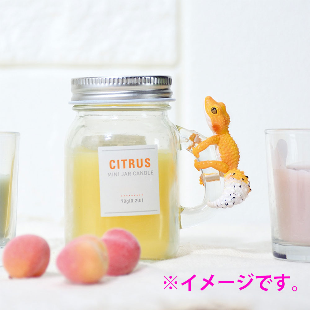 フィギュア どこでも抱きつき！レオパチャーム BOX 1個入 1 個