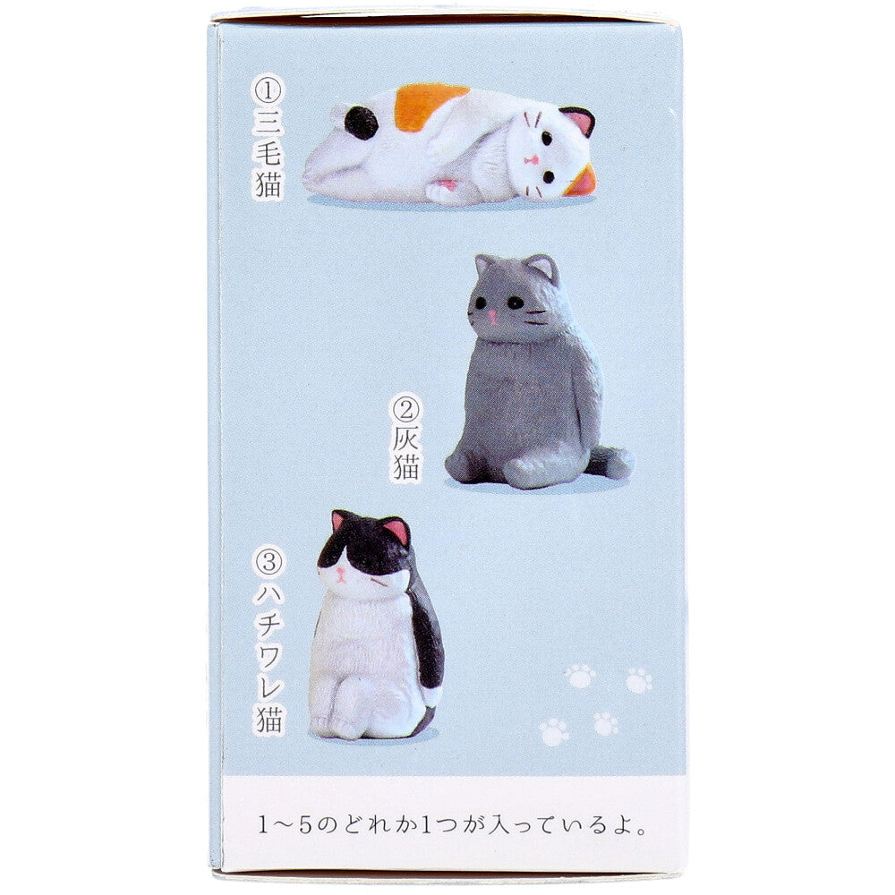 피규어 허무. 고양이 BOX 1개입 1개