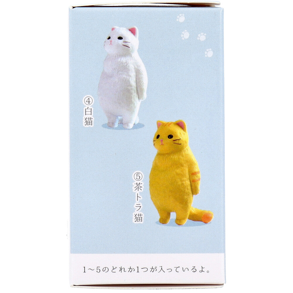 피규어 허무. 고양이 BOX 1개입 1개