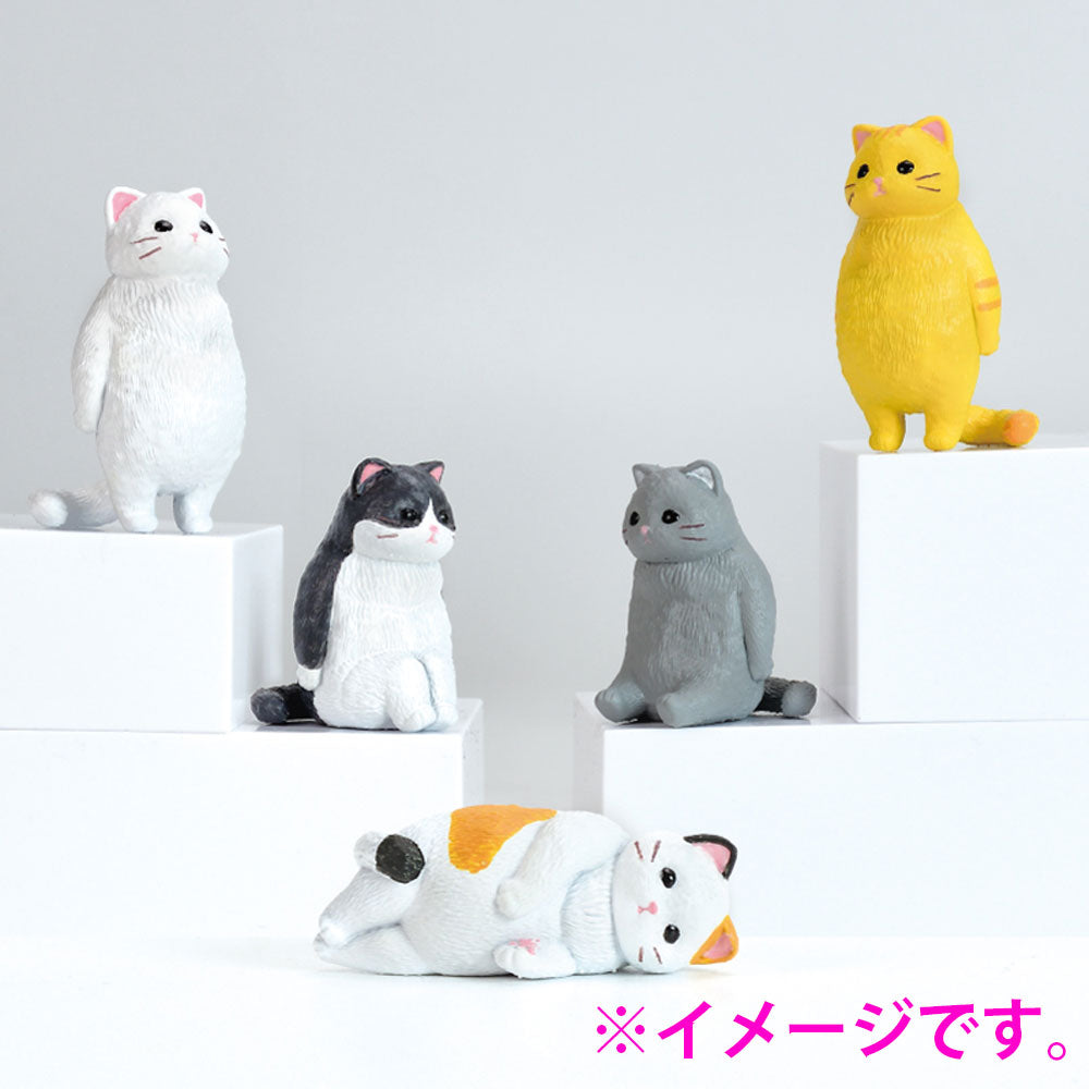 피규어 허무. 고양이 BOX 1개입 1개