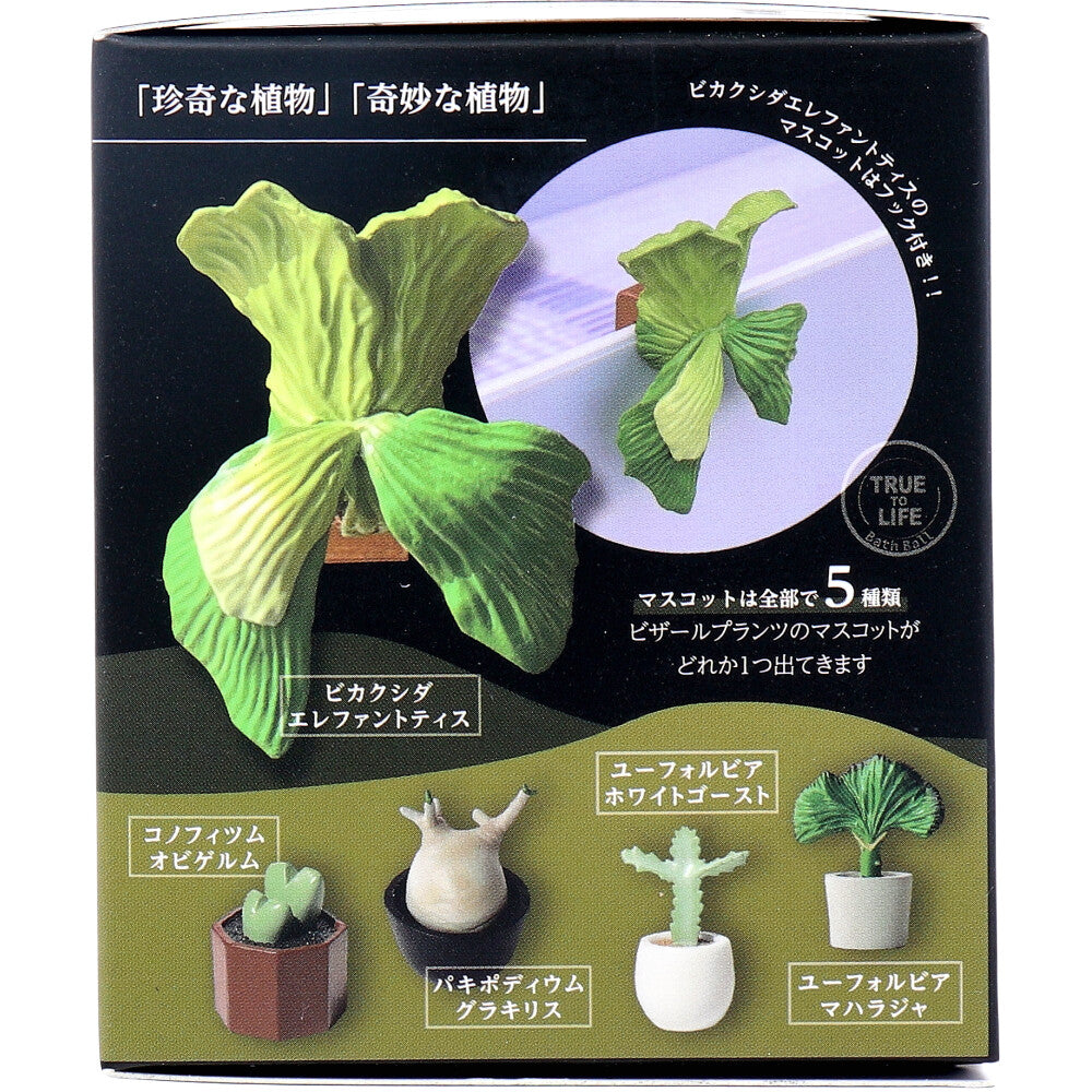 사실 비자르 플랜트 목욕 공 퍼지는 녹색 향기 70g 1회분 1개