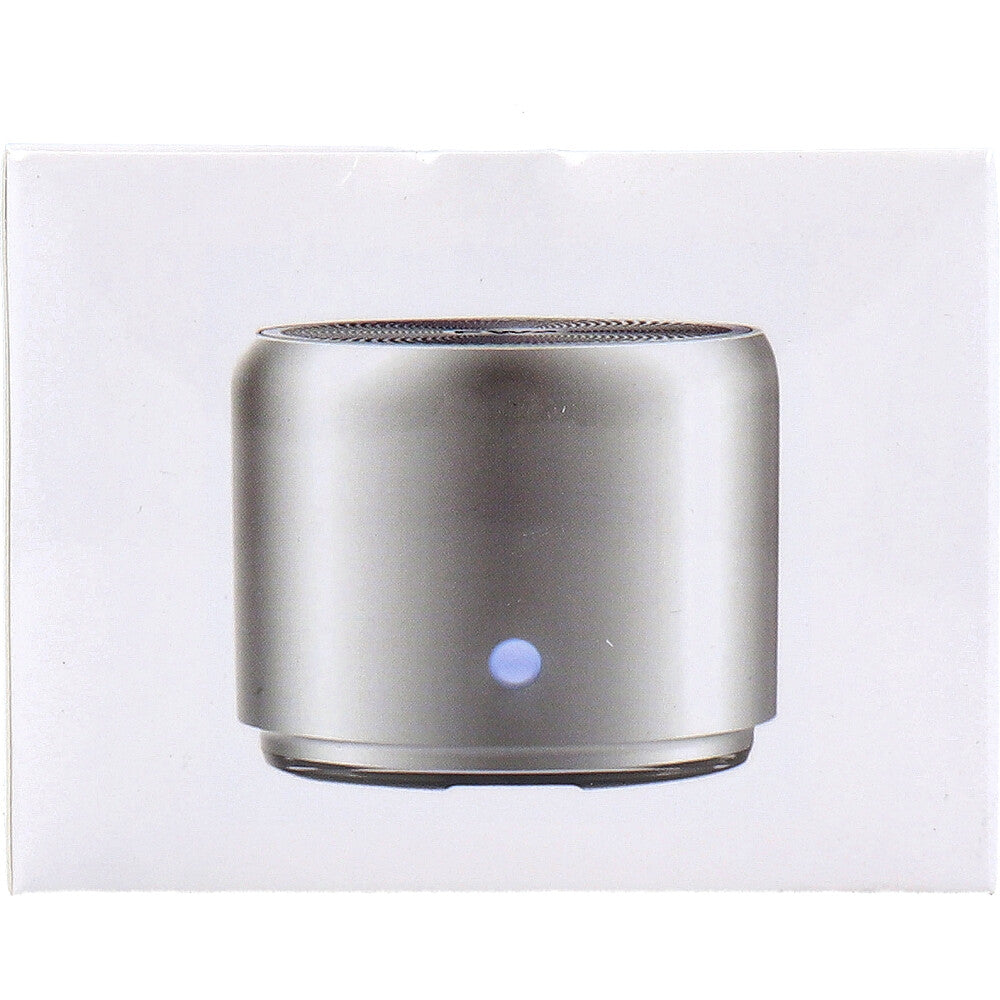 EWA A106Pro Bluetoothスピーカー シルバー 1 個