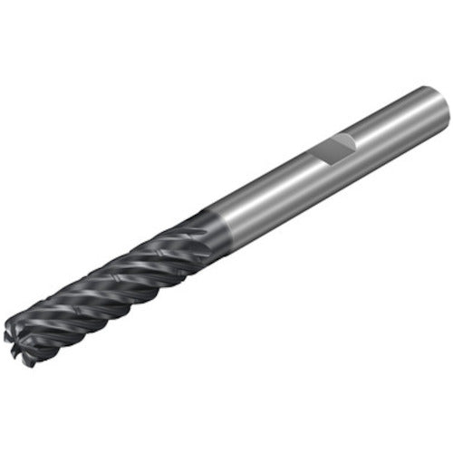 サンドビック　コロミルＤｕｒａ一般加工用超硬エンドミル（７３２）　１７３０　1K377-1600-300-XD　1 本