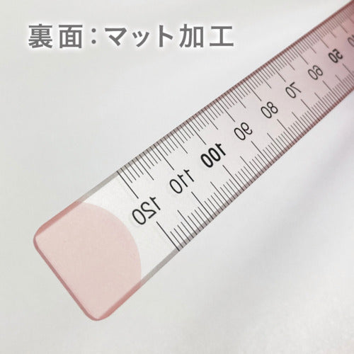 공영 플라스틱 뉘앙스 컬러 통치자 16cm 계피 설탕 NJ-16-03 1 개