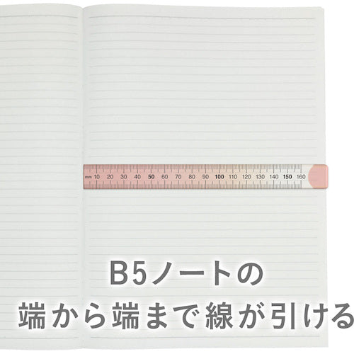 공영 플라스틱 뉘앙스 컬러 통치자 16cm 계피 설탕 NJ-16-03 1 개