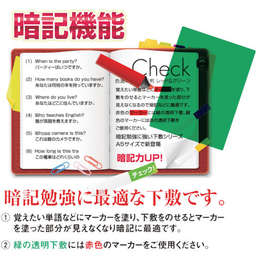 Kyoei Plastic Colored Transparent Writing Pad A4 Green NO.1377-G 1 Sheet