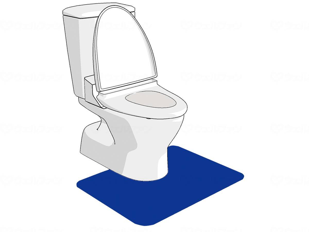 Shinei Techno Zeo Seater Blue 55cm x 60cm (Western style)