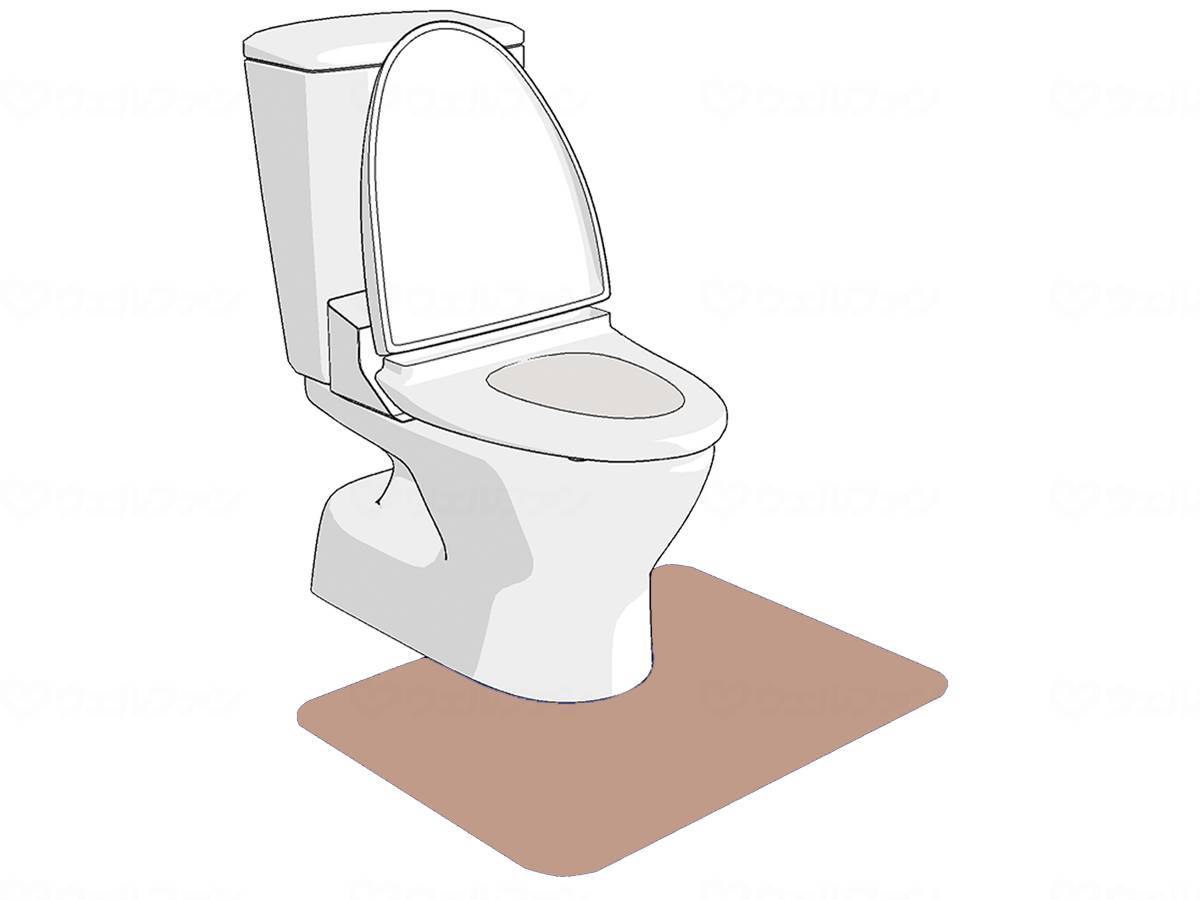 Shinei Techno Zeo Seater Brown 55cm x 60cm (Western style)