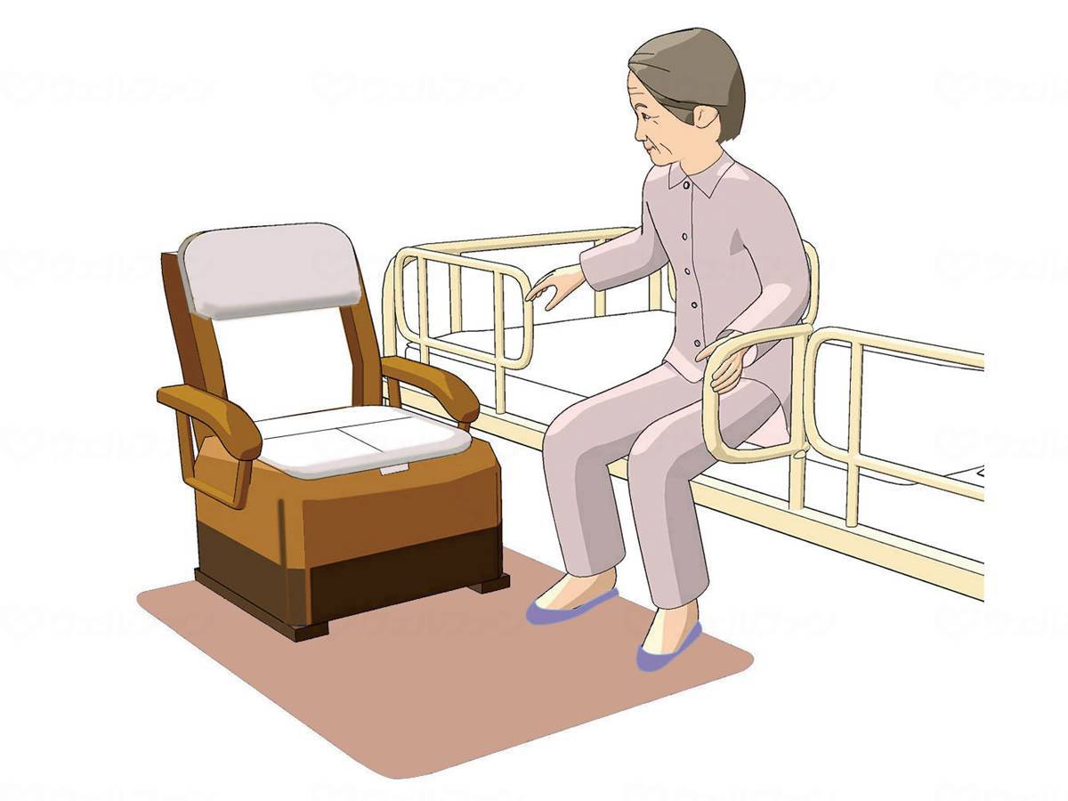 Shinei Techno Zeo Seater Brown S