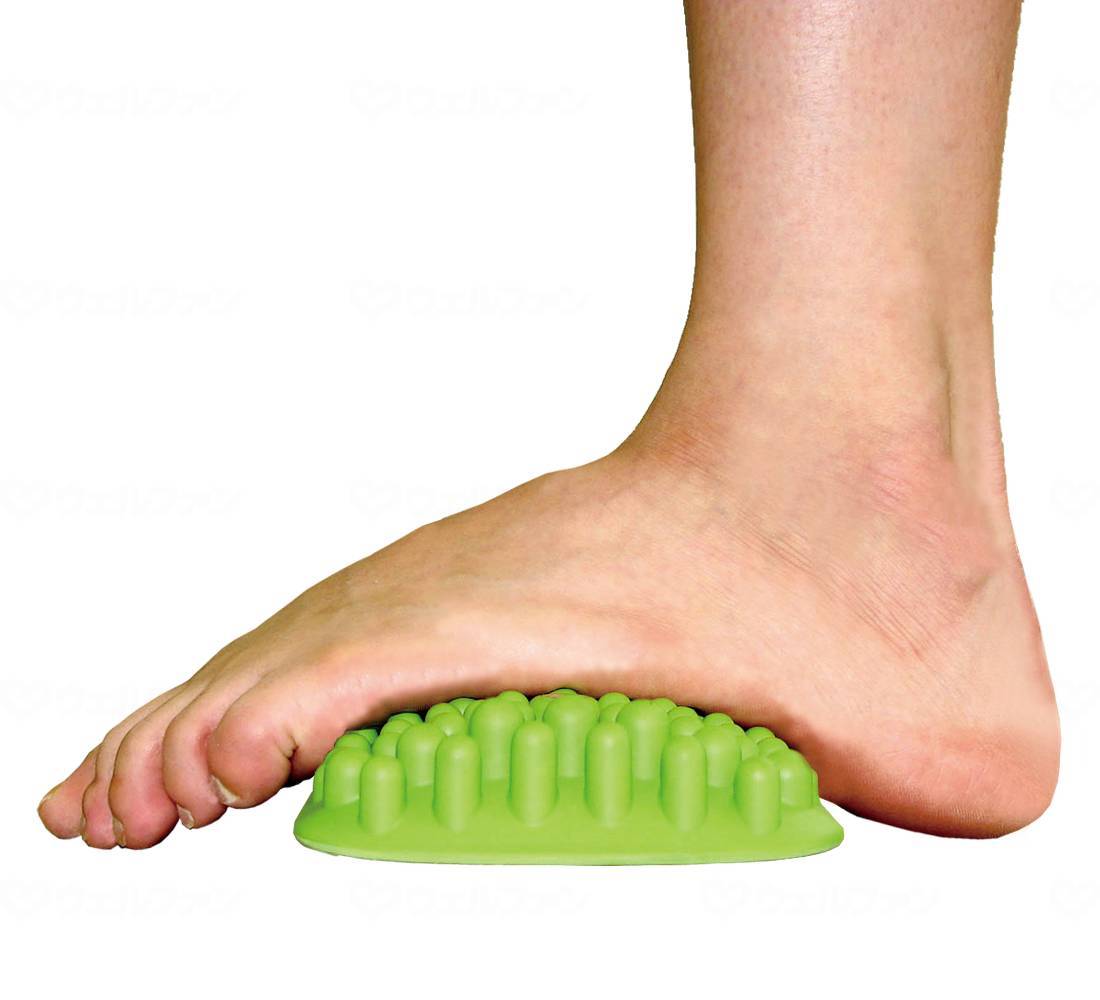 シンエイテクノふみふみ100