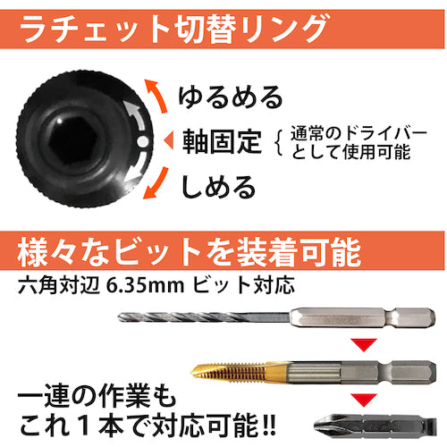 ＥＮＧＩＮＥＥＲ　ラチェットドライヴプラス　DZ-51　1 個