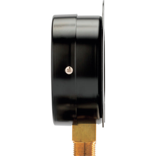 Takashima General Pressure Gauge (B Frame Vertical Type, φ75) Pressure Range 0.0-25MPa G3/8 1023225 1 pc