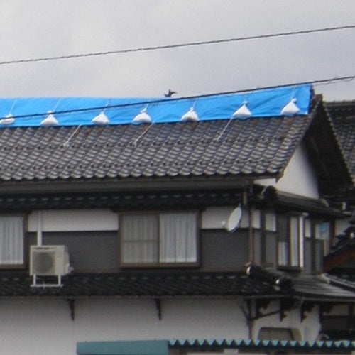 Hagiwara Tarpee Super Sandbags White 48cm x 62cm Boxed (50 pieces) SPD50BOX 1 box