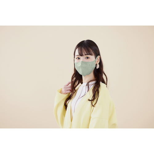 IRIS 296472 DAILY FIT MASK 3D Regular Size 30 pieces Pistachio RK-F30SXA 1 box