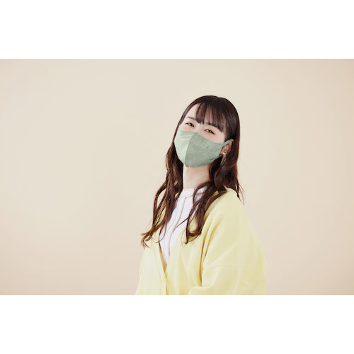 IRIS 296472 DAILY FIT MASK 3D Regular Size 30 pieces Pistachio RK-F30SXA 1 box