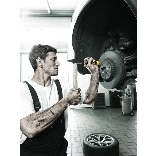 Ｗｅｒａ　貫通専用差替ビット　トルクス２５　018168　1 本