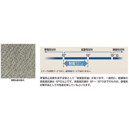 ＳＨＯＷＡ　制電ラインパ−ム手袋　Ａ０１７０　ＸＳサイズ　A0170-XS　1 双
