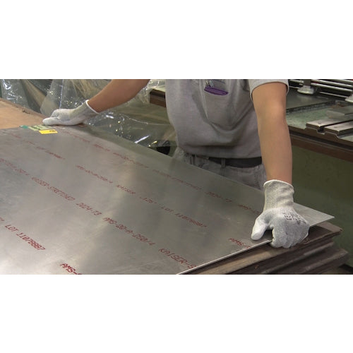 SHOWA Cut-Resistant Gloves No. 544 Bulk Purchase Chemistar Palm FS No. 544 10 pairs Gray M size NO544-10PM 1 bag