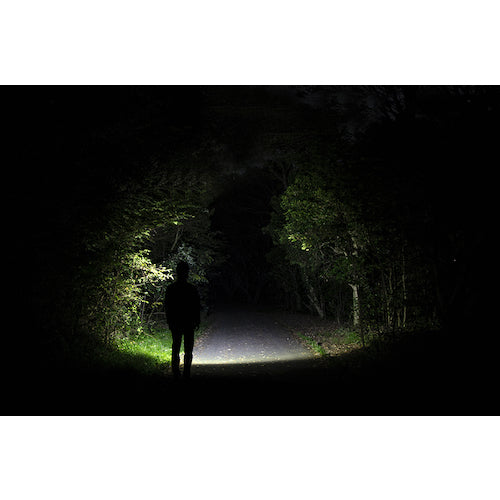 ＧＥＮＴＯＳ　ハイブリッド式ＬＥＤヘッドライト　デルタピーク４１８Ｈ　DPX-418H　1 台